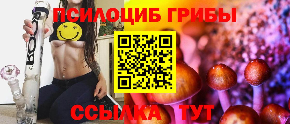 Галлюциногенные грибы Psilocybine cubensis  наркотики  Рославль  Вход с VPN  Псилоцибиновые грибы Magic Shrooms 